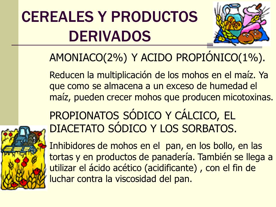 CEREALES Y PRODUCTOS DERIVADOS