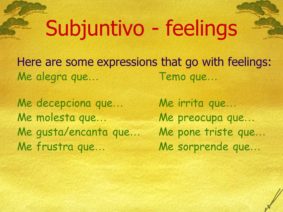 Subjuntivo - feelings Here are some expressions that go with feelings: