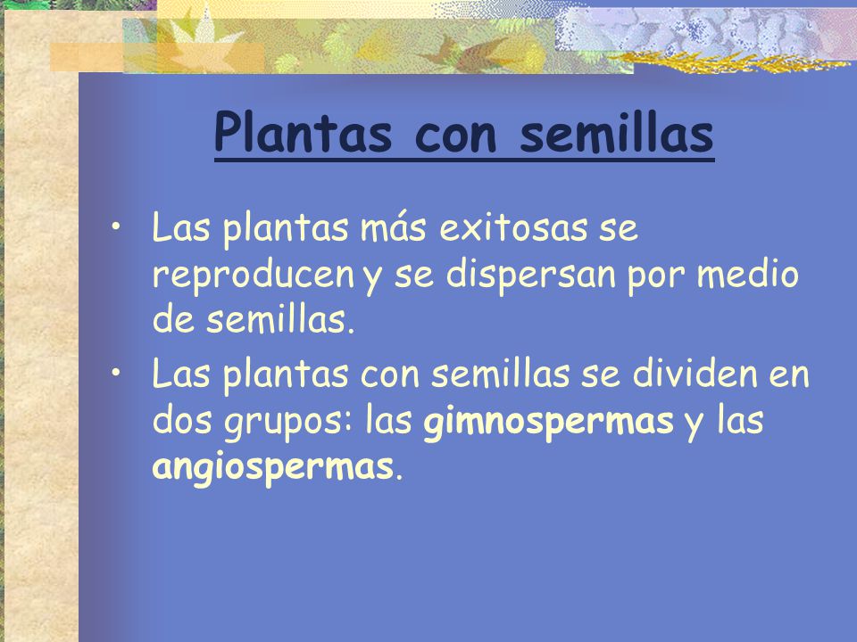 Plantas con semillas Las plantas más exitosas se reproducen y se dispersan por medio de semillas.