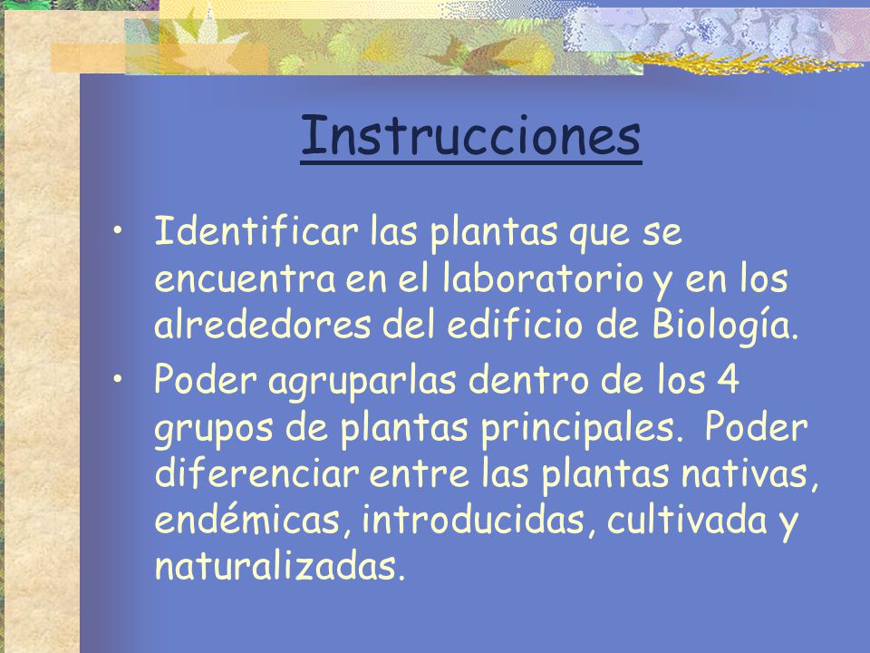 Instrucciones Identificar las plantas que se encuentra en el laboratorio y en los alrededores del edificio de Biología.