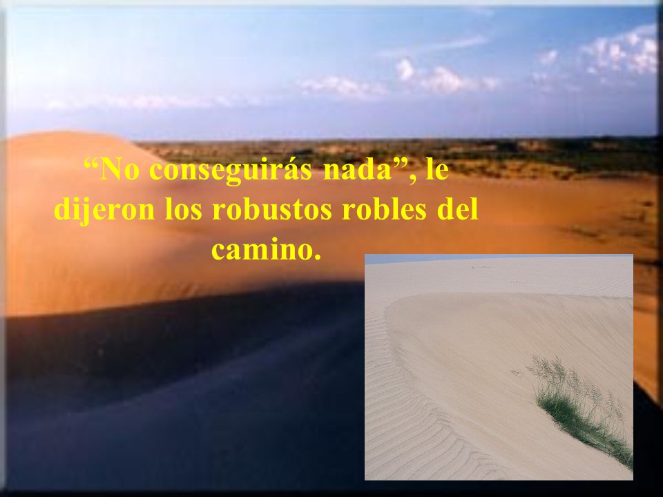 No conseguirás nada , le dijeron los robustos robles del camino.