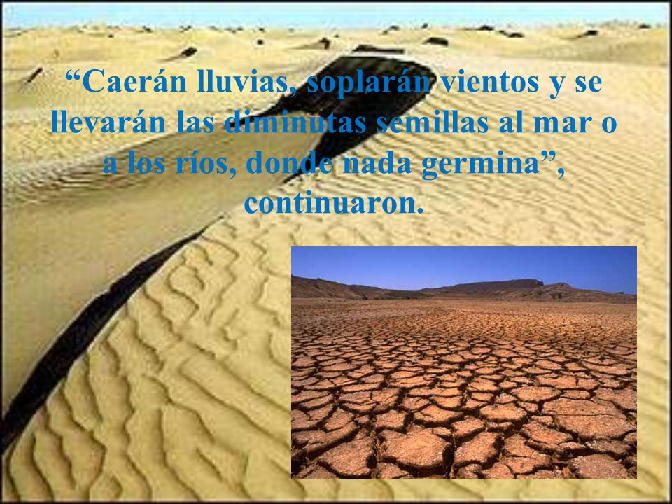 Caerán lluvias, soplarán vientos y se llevarán las diminutas semillas al mar o a los ríos, donde nada germina , continuaron.
