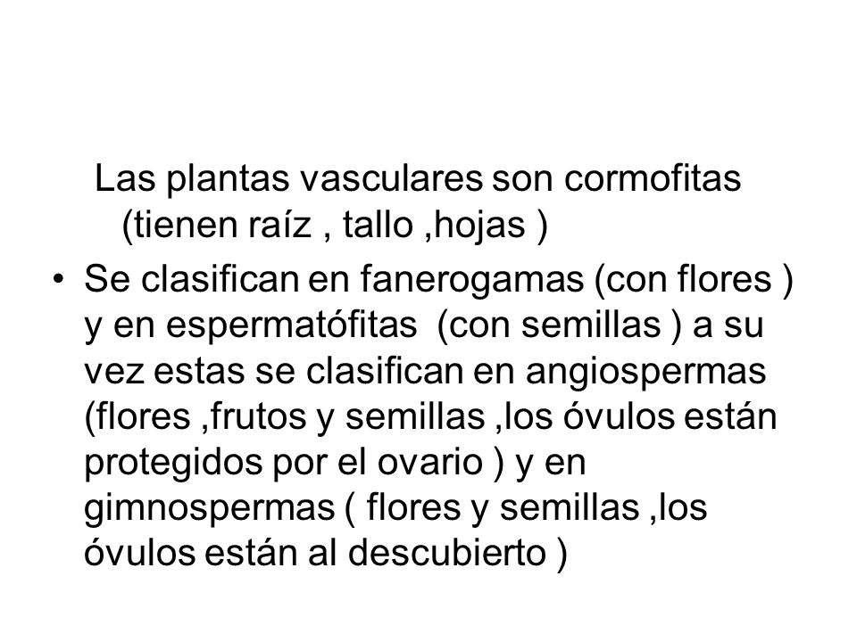 Las plantas vasculares son cormofitas (tienen raíz , tallo ,hojas )