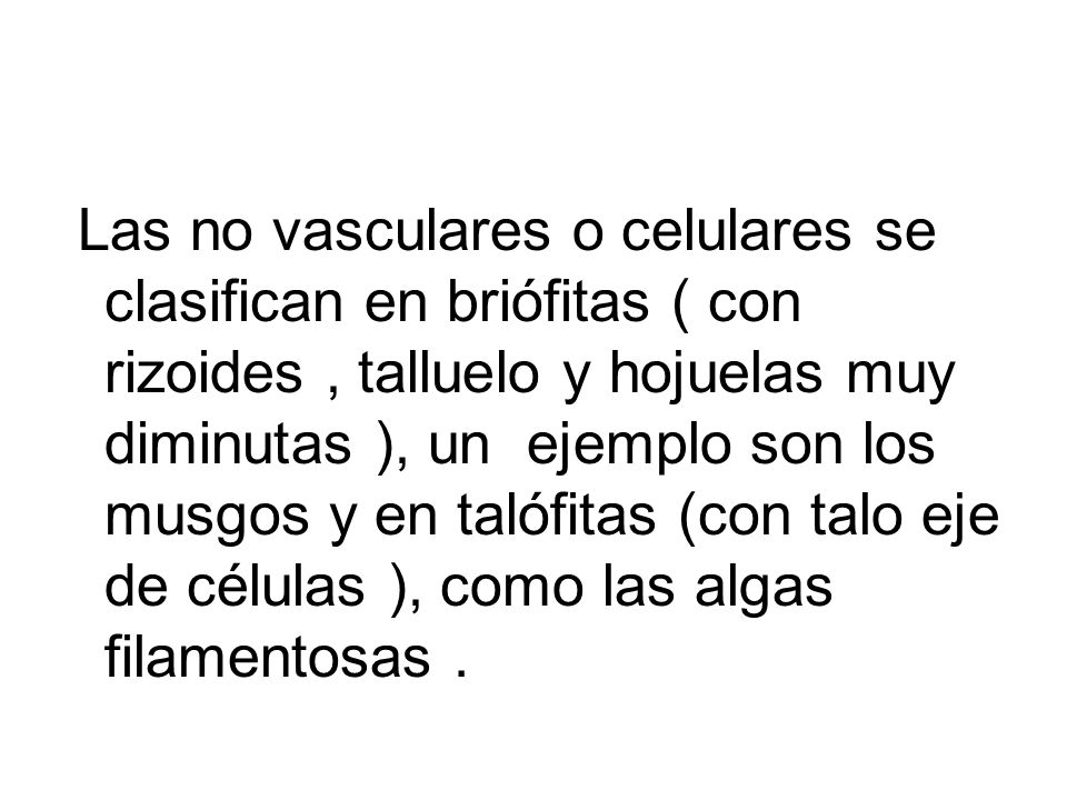 Las no vasculares o celulares se clasifican en briófitas ( con rizoides , talluelo y hojuelas muy diminutas ), un ejemplo son los musgos y en talófitas (con talo eje de células ), como las algas filamentosas .