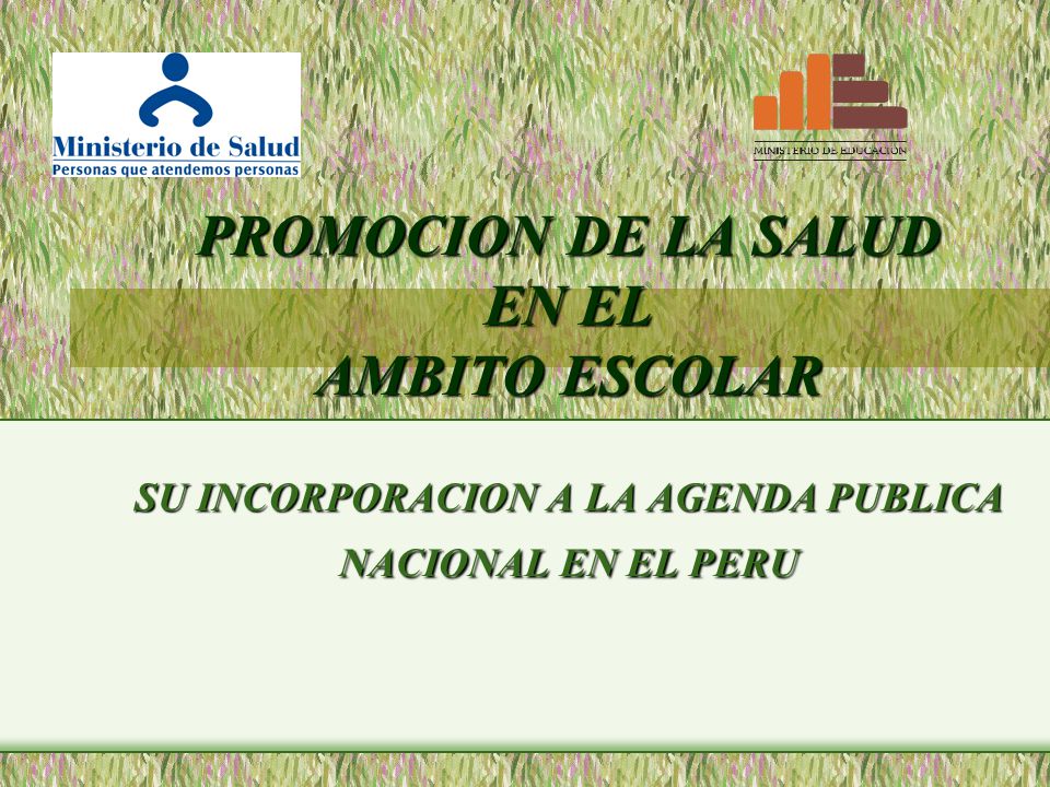 PROMOCION DE LA SALUD EN EL AMBITO ESCOLAR SU INCORPORACION A LA AGENDA PUBLICA NACIONAL EN EL PERU