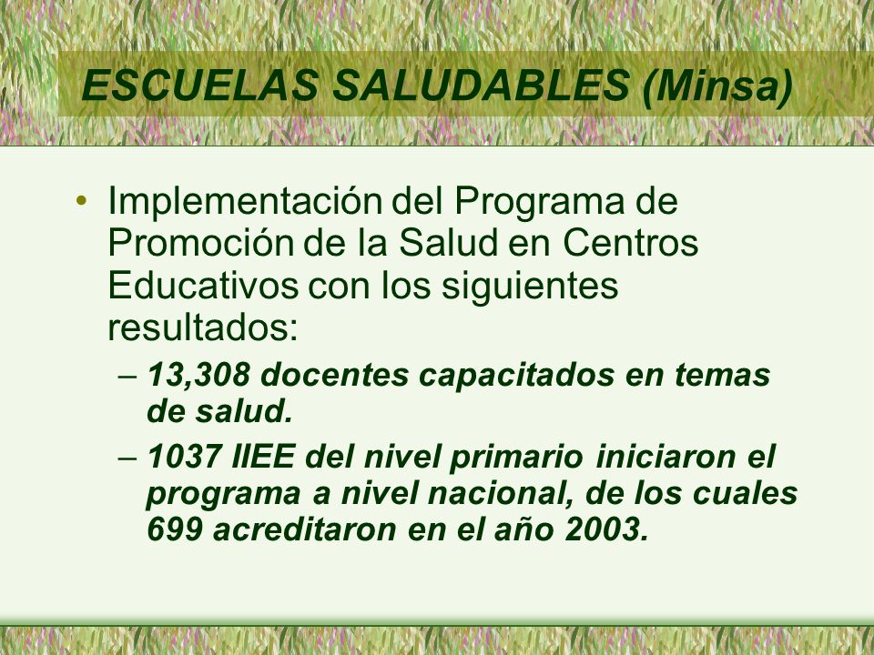 ESCUELAS SALUDABLES (Minsa)