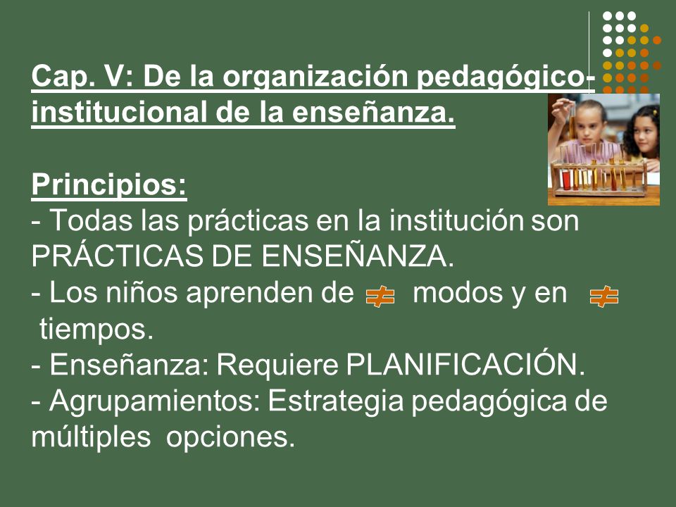 Cap. V: De la organización pedagógico-institucional de la enseñanza