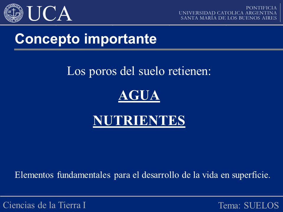Los poros del suelo retienen:
