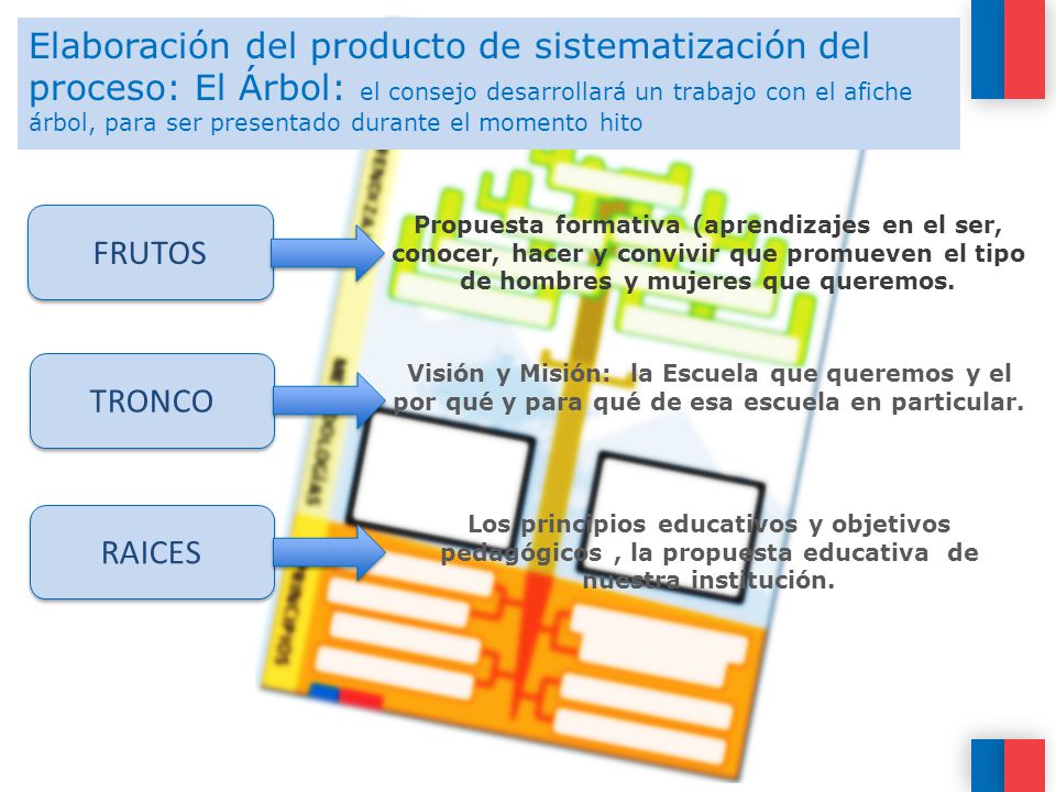 Elaboración del producto de sistematización del proceso: El Árbol: el consejo desarrollará un trabajo con el afiche árbol, para ser presentado durante el momento hito