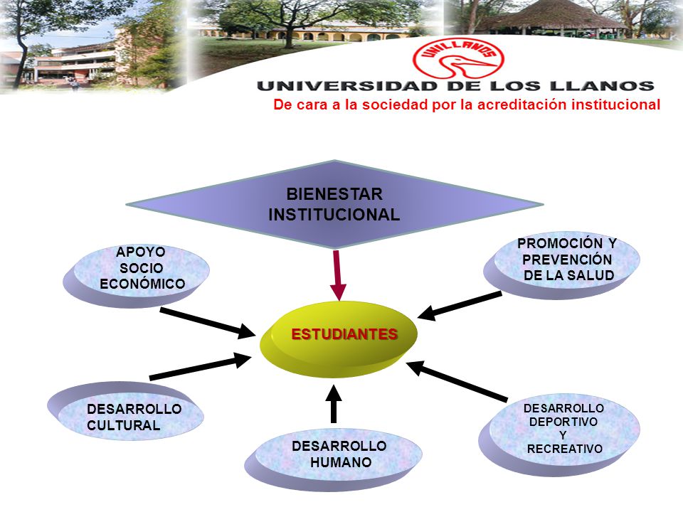 De cara a la sociedad por la acreditación institucional