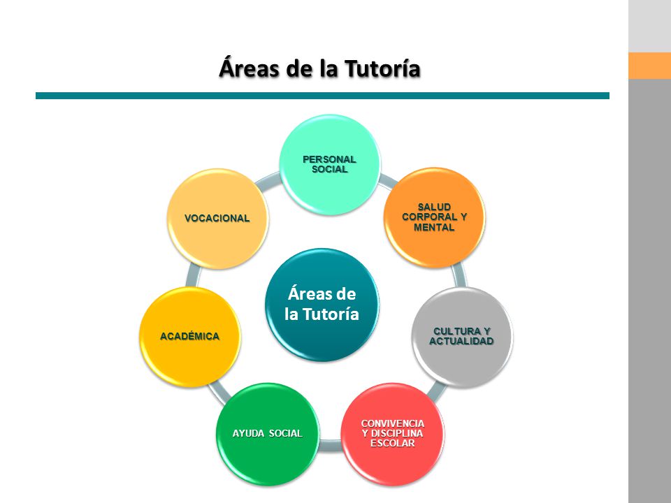 SALUD CORPORAL Y MENTAL CONVIVENCIA Y DISCIPLINA ESCOLAR