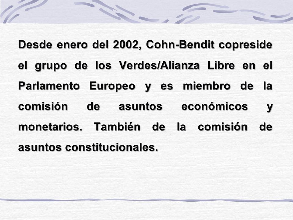 Desde enero del 2002, Cohn-Bendit copreside el grupo de los Verdes/Alianza Libre en el Parlamento Europeo y es miembro de la comisión de asuntos económicos y monetarios.