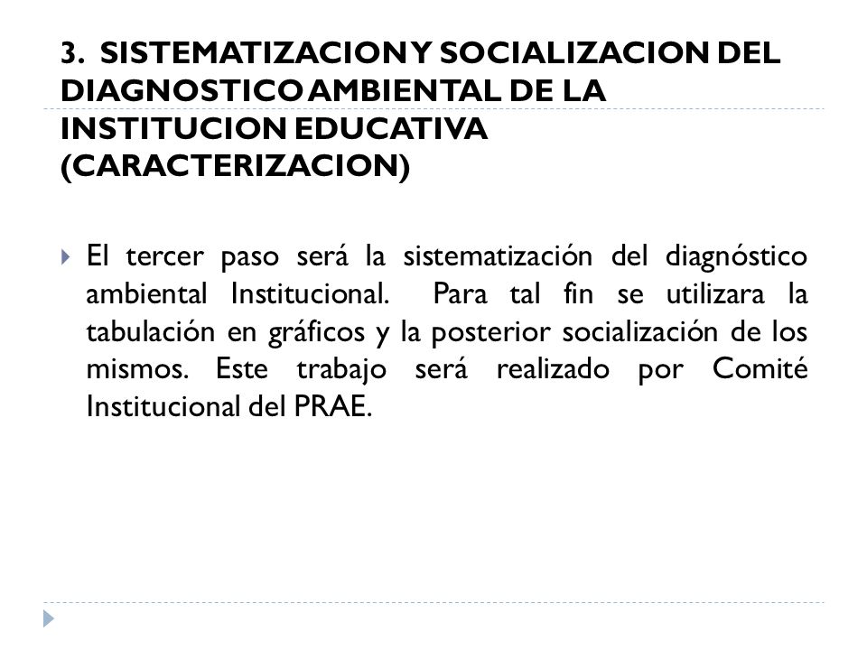 3. SISTEMATIZACION Y SOCIALIZACION DEL DIAGNOSTICO AMBIENTAL DE LA INSTITUCION EDUCATIVA (CARACTERIZACION)