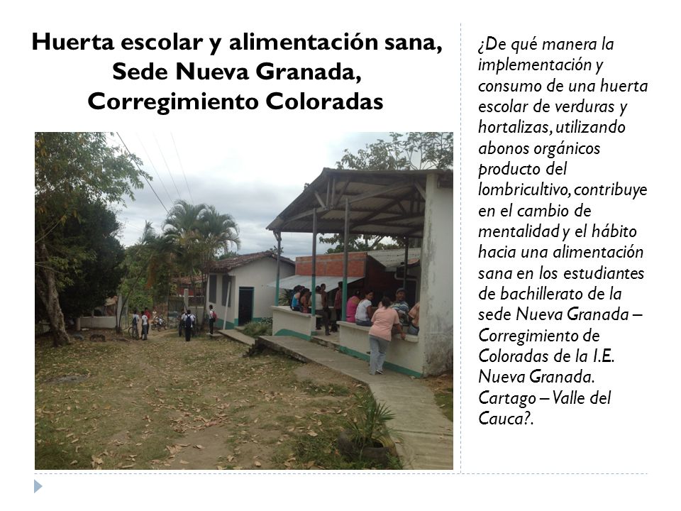 Huerta escolar y alimentación sana, Sede Nueva Granada, Corregimiento Coloradas