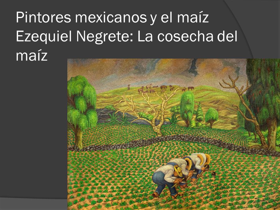 Pintores mexicanos y el maíz Ezequiel Negrete: La cosecha del maíz