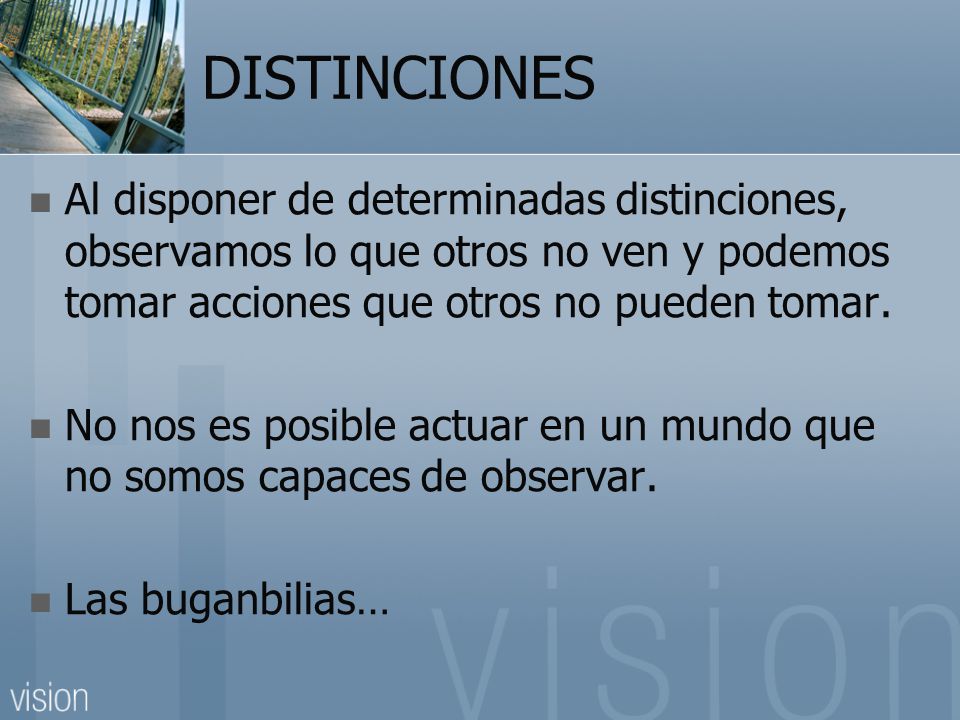 DISTINCIONES Al disponer de determinadas distinciones, observamos lo que otros no ven y podemos tomar acciones que otros no pueden tomar.
