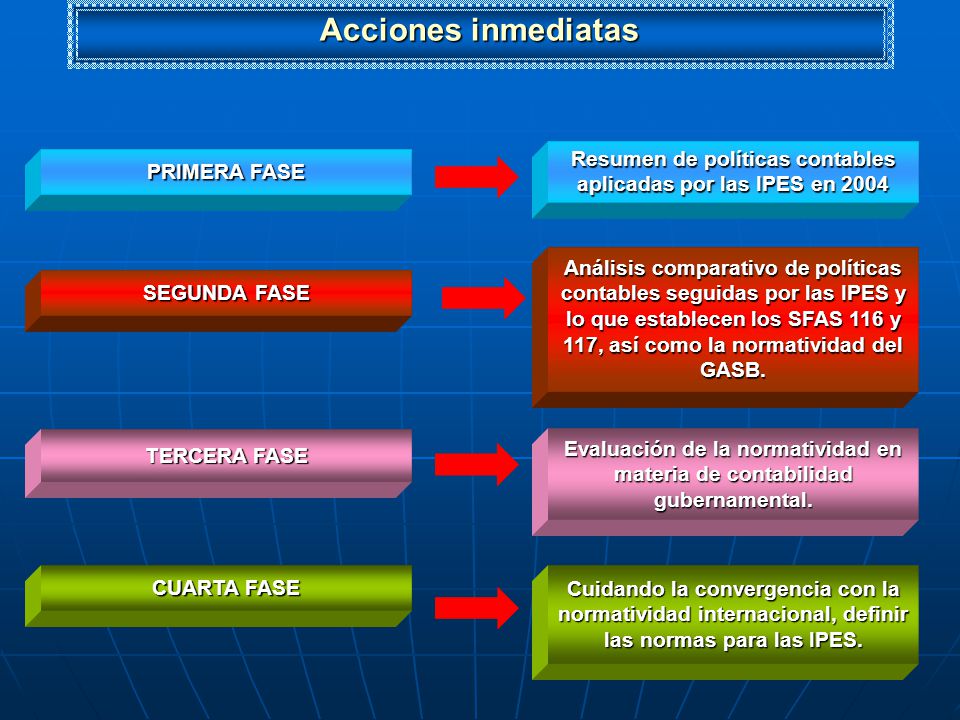 Resumen de políticas contables aplicadas por las IPES en 2004