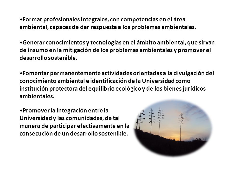 Formar profesionales integrales, con competencias en el área ambiental, capaces de dar respuesta a los problemas ambientales.