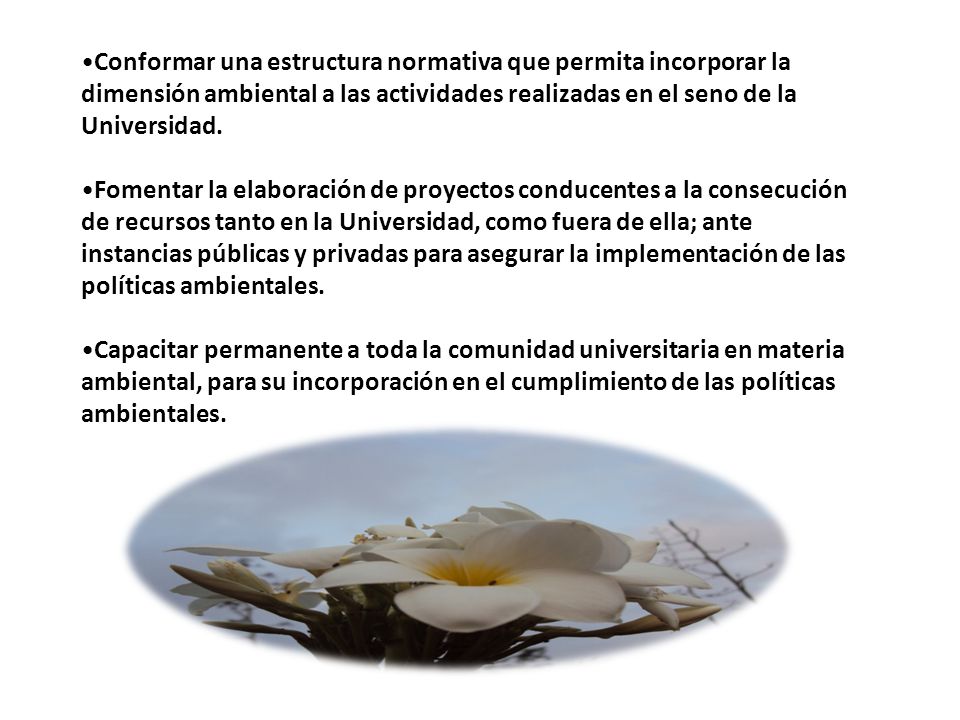 Conformar una estructura normativa que permita incorporar la dimensión ambiental a las actividades realizadas en el seno de la Universidad.