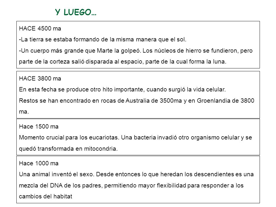 La tierra se estaba formando de la misma manera que el sol.