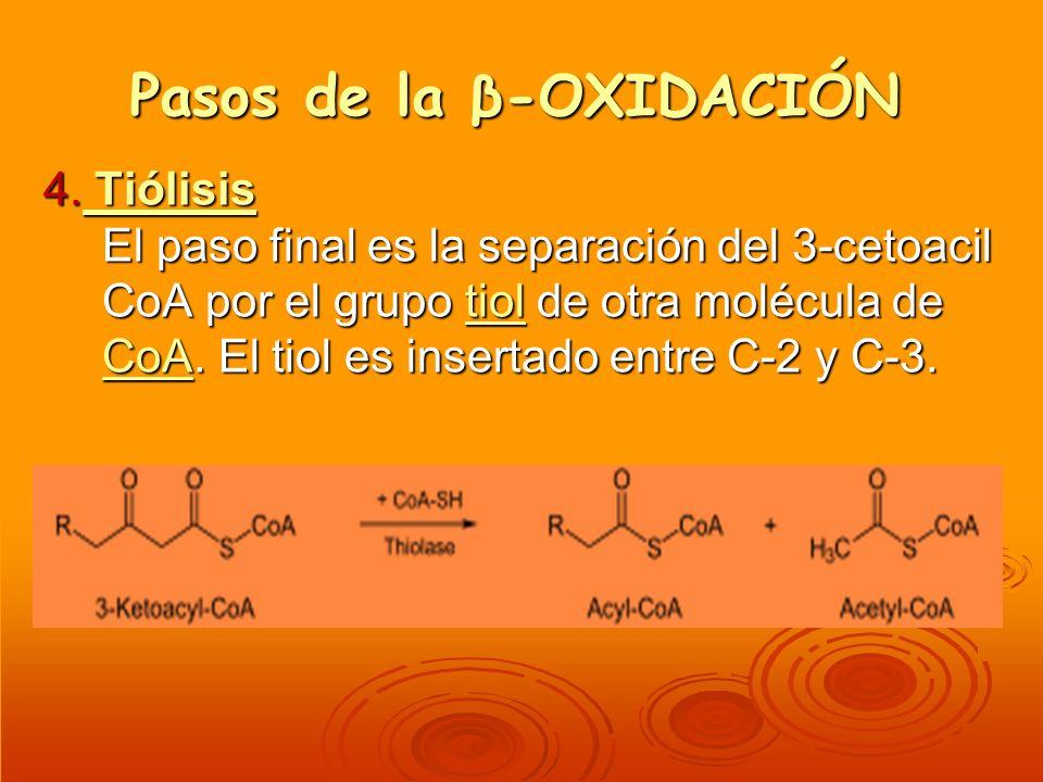 Pasos de la β-OXIDACIÓN
