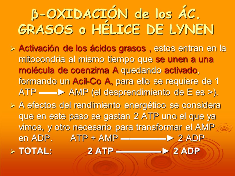 β-OXIDACIÓN de los ÁC. GRASOS o HÉLICE DE LYNEN