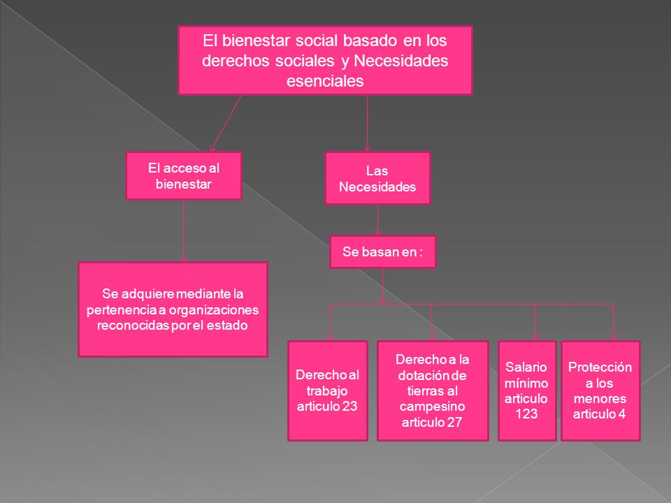 El bienestar social basado en los derechos sociales y Necesidades esenciales