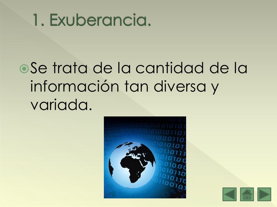 1. Exuberancia. Se trata de la cantidad de la información tan diversa y variada.