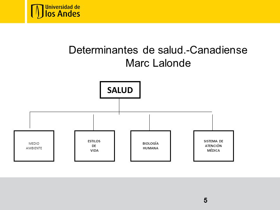 MODELOS DE LA SALUD PUBLICA. Luis Jorge Hernández MD PhD - ppt descargar