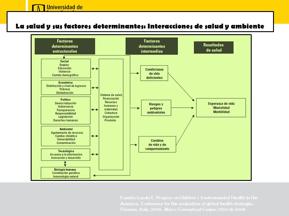 La salud y sus factores determinantes: Interacciones de salud y ambiente