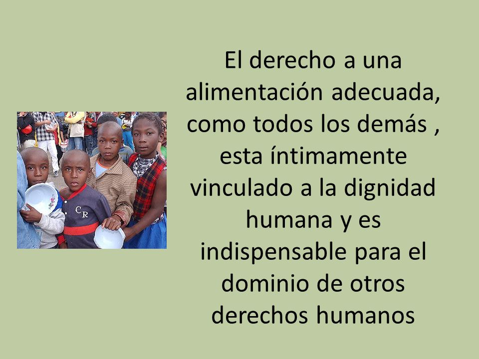 El derecho a una alimentación adecuada, como todos los demás , esta íntimamente vinculado a la dignidad humana y es indispensable para el dominio de otros derechos humanos