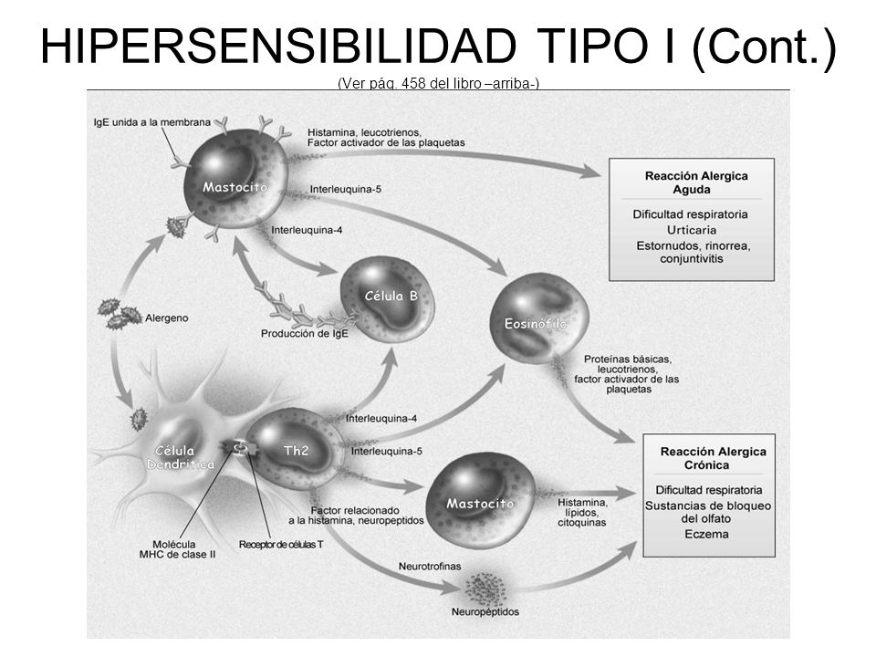 HIPERSENSIBILIDAD TIPO I (Cont.) (Ver pág. 458 del libro –arriba-)