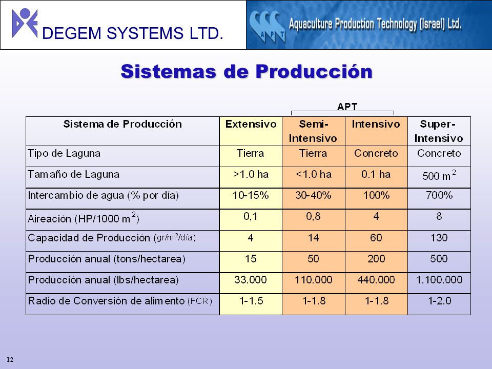 Sistemas de Producción