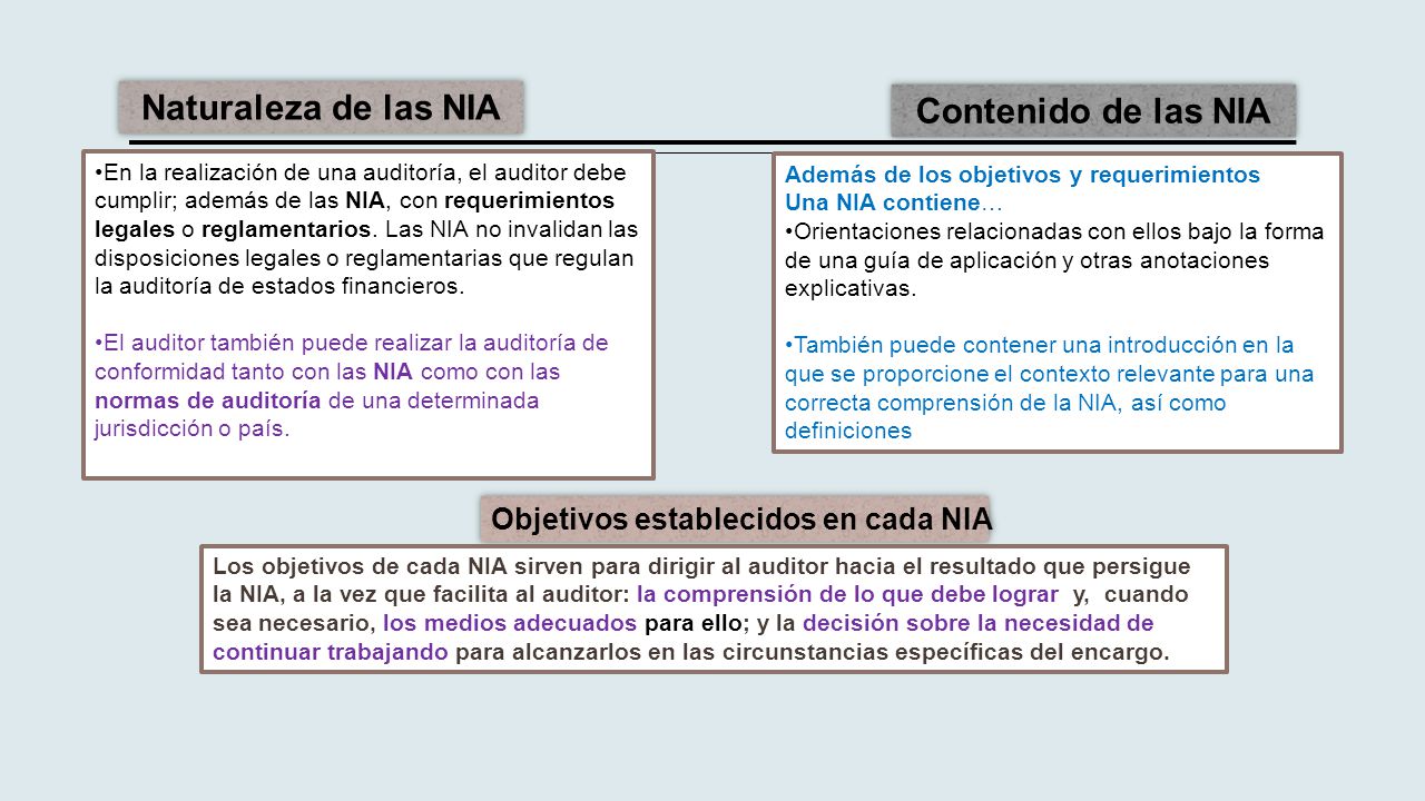 NORMAS INTERNACIONALES DE AUDITORÍA - NIA ppt descargar