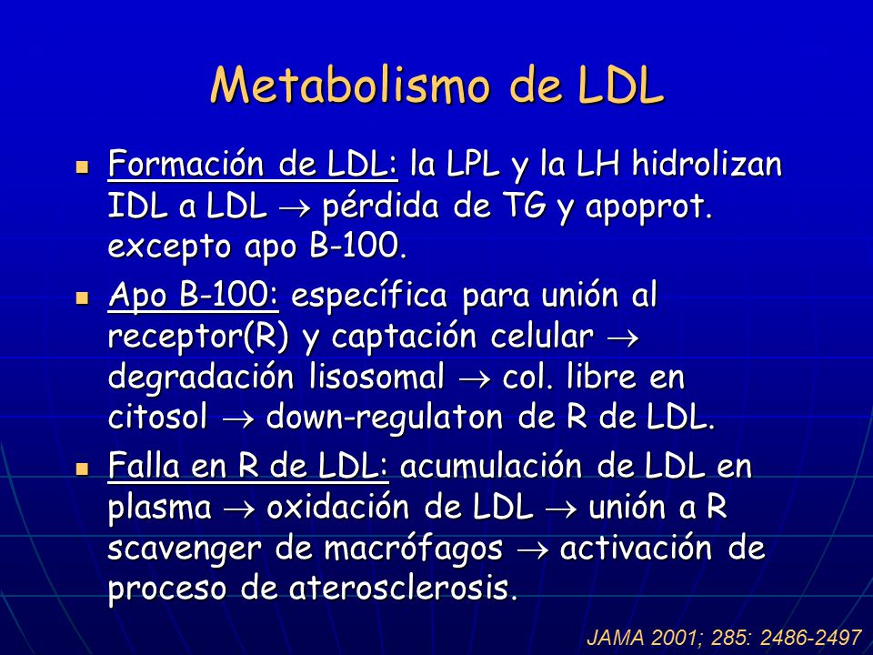 Metabolismo de LDL Formación de LDL: la LPL y la LH hidrolizan IDL a LDL  pérdida de TG y apoprot. excepto apo B-100.
