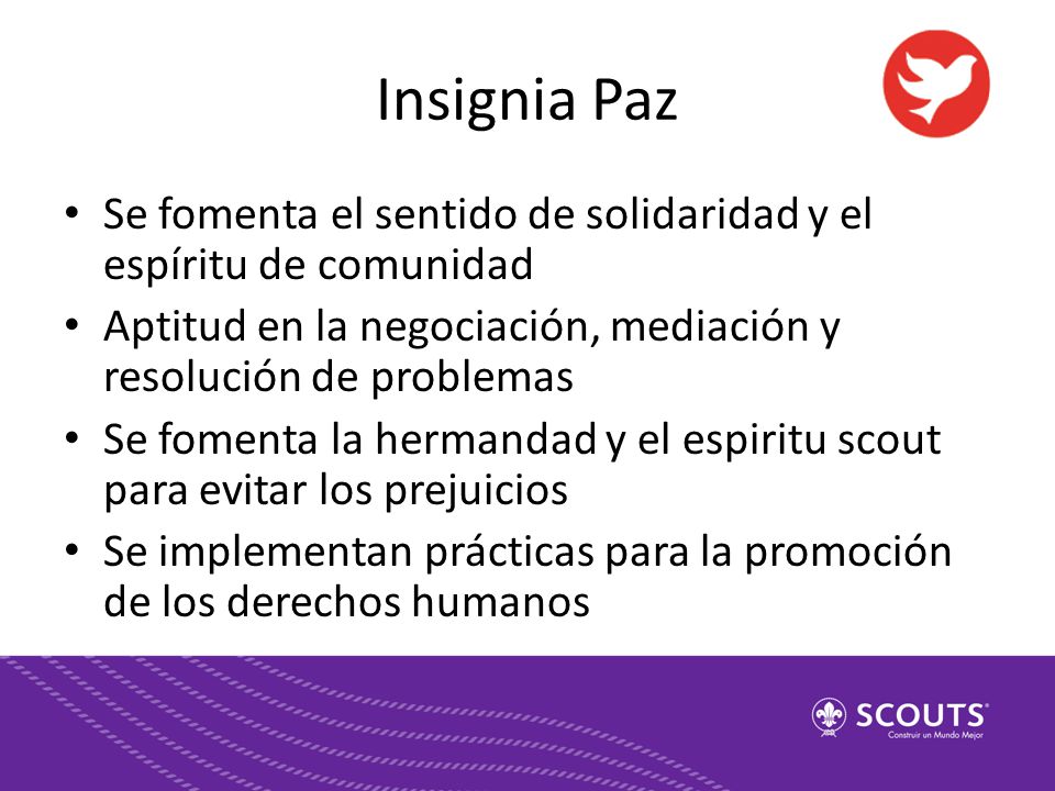 Insignia Paz Se fomenta el sentido de solidaridad y el espíritu de comunidad. Aptitud en la negociación, mediación y resolución de problemas.