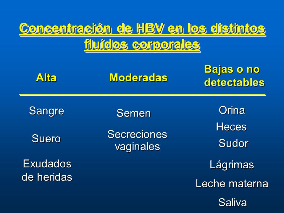 Concentración de HBV en los distintos fluídos corporales