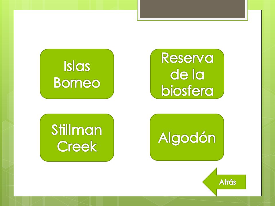 Islas Borneo Reserva de la biosfera Stillman Creek Algodón Atrás