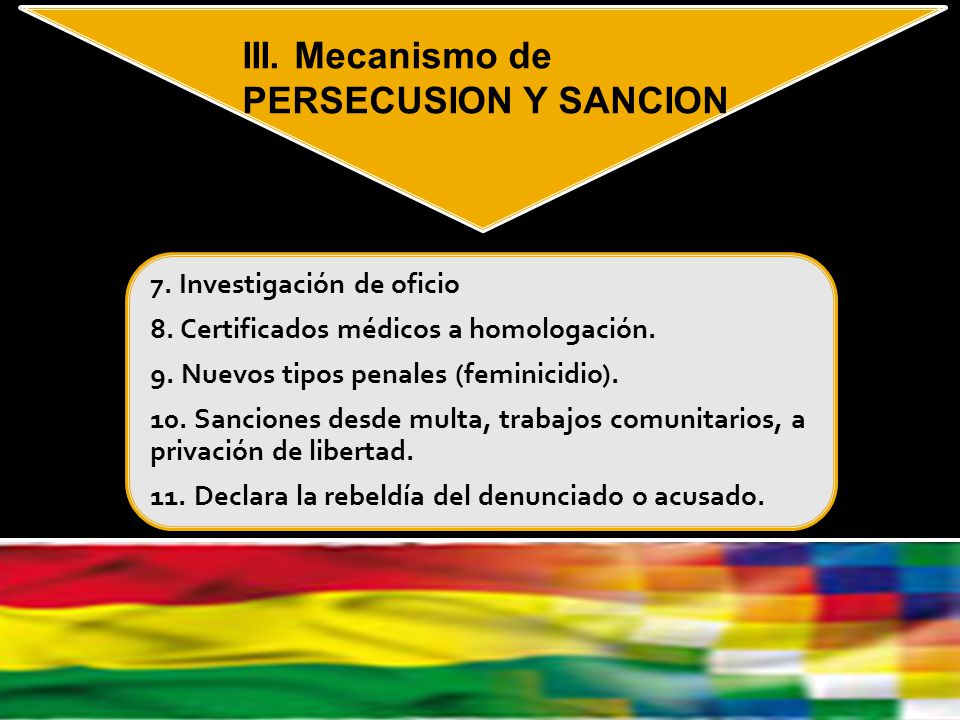 III. Mecanismo de PERSECUSION Y SANCION 7. Investigación de oficio