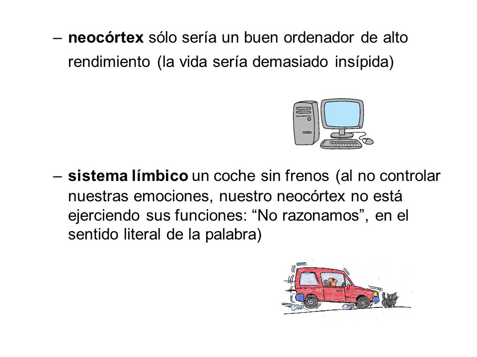 neocórtex sólo sería un buen ordenador de alto rendimiento (la vida sería demasiado insípida)
