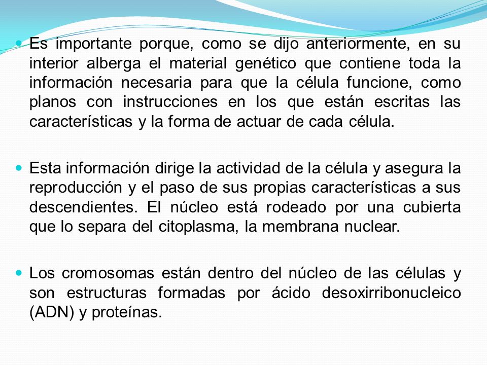 Es importante porque, como se dijo anteriormente, en su interior alberga el material genético que contiene toda la información necesaria para que la célula funcione, como planos con instrucciones en los que están escritas las características y la forma de actuar de cada célula.