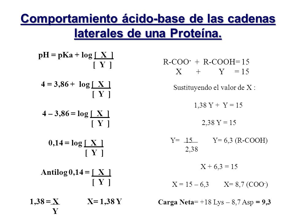 Comportamiento ácido-base de las cadenas laterales de una Proteína.