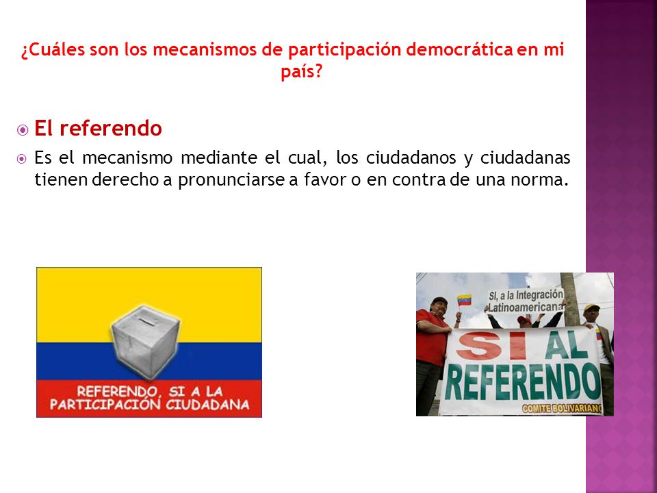 ¿Cuáles son los mecanismos de participación democrática en mi país