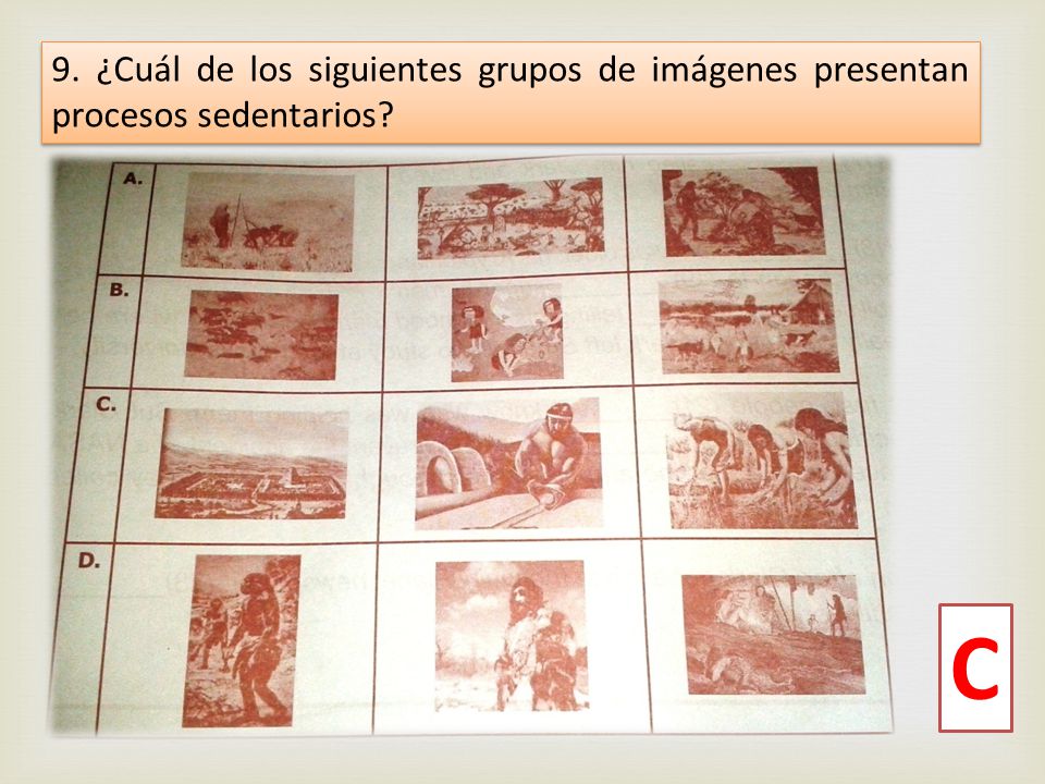 9. ¿Cuál de los siguientes grupos de imágenes presentan procesos sedentarios
