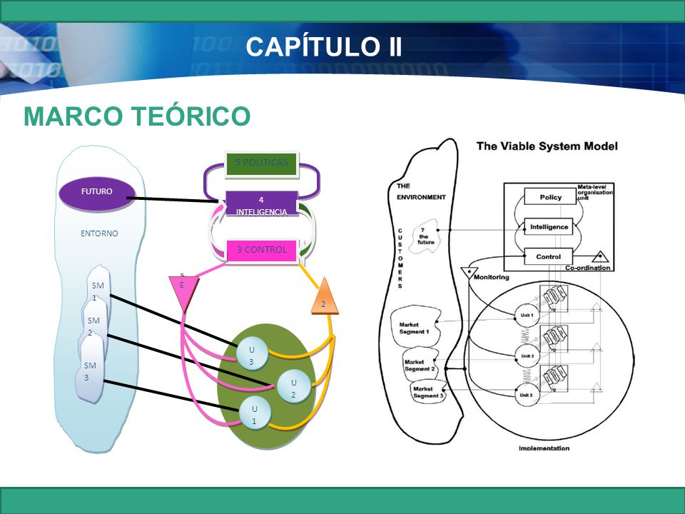 CAPÍTULO II MARCO TEÓRICO Principios Reguladores en el Sistema Viable