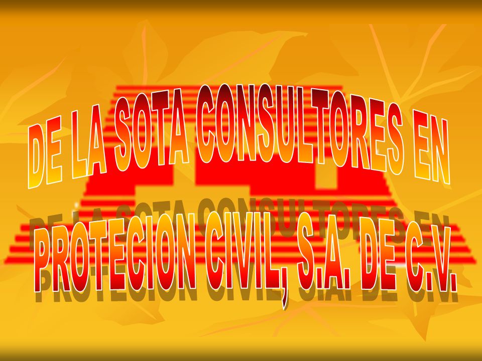 DE LA SOTA CONSULTORES EN PROTECION CIVIL, S.A. DE C.V.