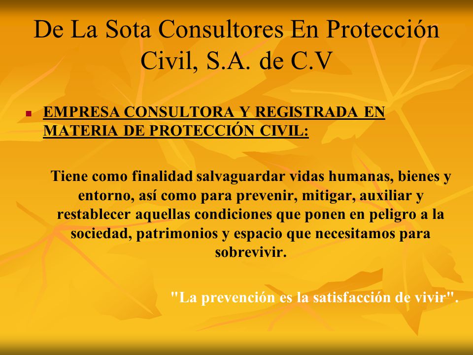 De La Sota Consultores En Protección Civil, S.A. de C.V