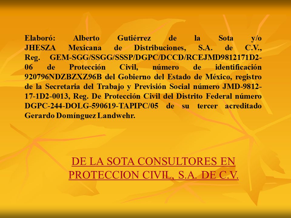 DE LA SOTA CONSULTORES EN PROTECCION CIVIL, S.A. DE C.V.