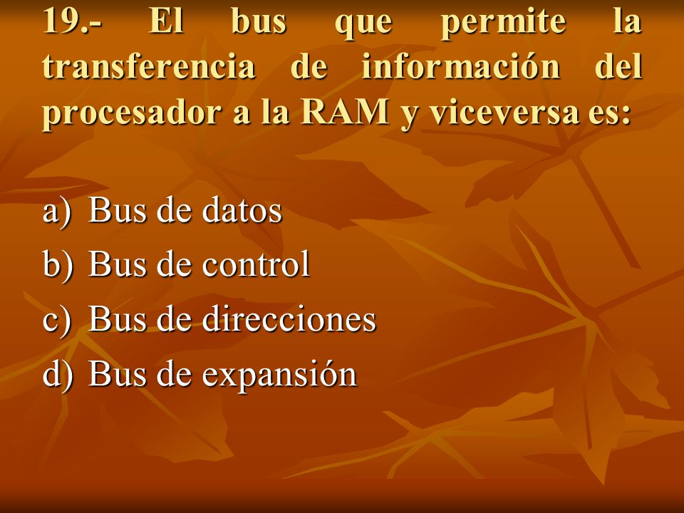 19.- El bus que permite la transferencia de información del procesador a la RAM y viceversa es: