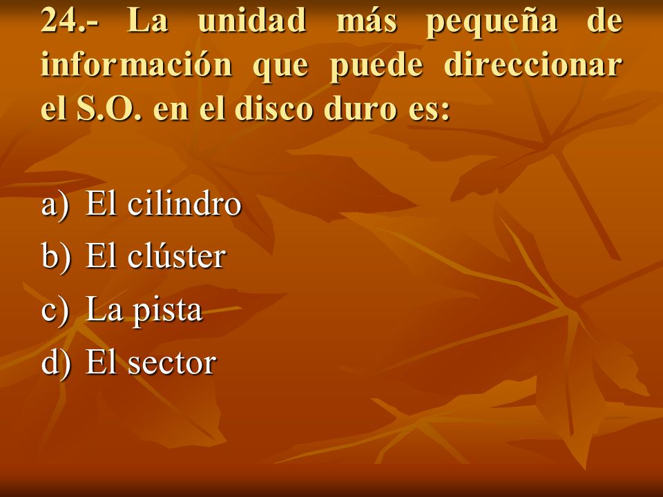 24. - La unidad más pequeña de información que puede direccionar el S